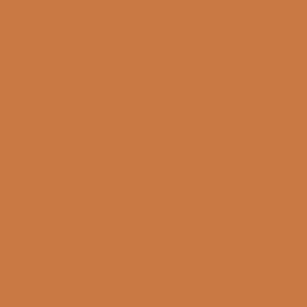 Krylon Fusion Spray Paint Spiced Amber 12 oz - Image 9